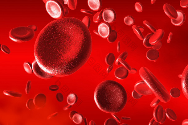 血液细胞