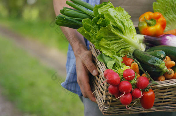一个快乐的年轻农民，一篮子里拿着新鲜蔬菜的画像。大自然的生物、 生物产品、 生物生态学，增长了自己的双手，素食主义者，沙拉健康概念的背景<strong>上</strong>