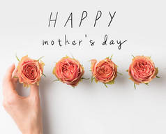手触碰粉红色的玫瑰花蕾放在一行与快乐的母亲日题词在白色隔离