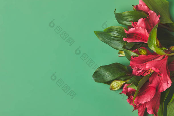 特写镜头一束美丽的 Alstroemeria 花在绿色, 母亲日概念