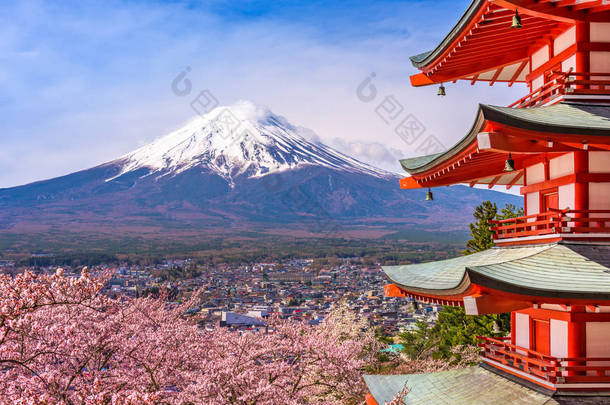塔和富士的春天