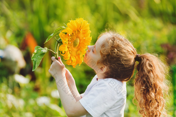 快乐的小孩气味向日葵在阳光明媚的夏日享受大自然