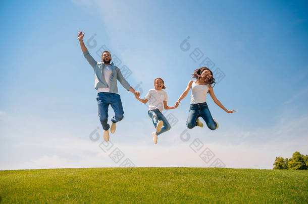 幸福的家庭，在草地上<strong>跳跃</strong>