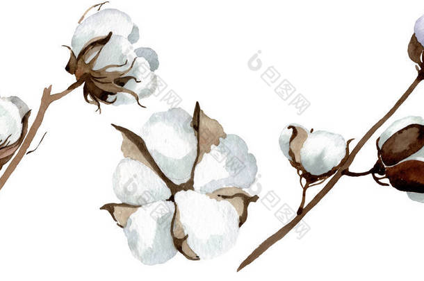 <strong>白棉花</strong>卉植物花。水彩背景插图集。隔离棉插图元件.