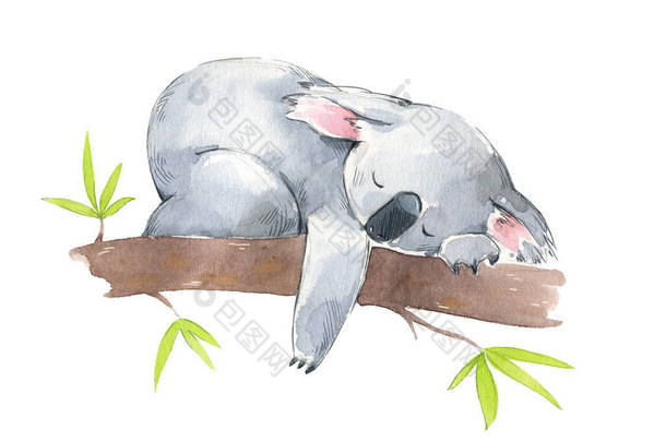可爱的考拉睡在树上，水彩画 