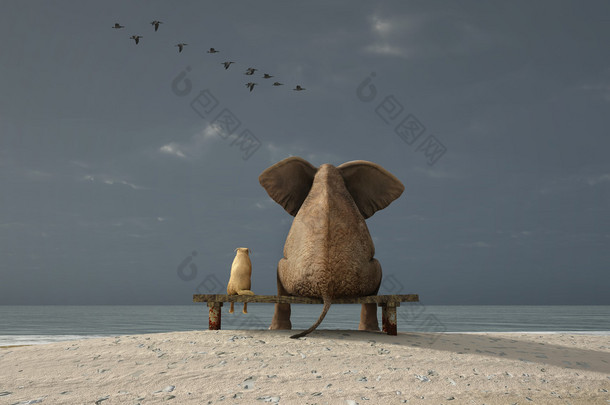 大象和狗坐在荒凉的海滩上