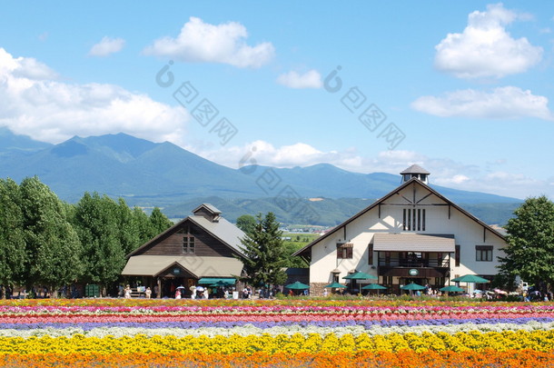 在日本，北海道富良野<strong>的</strong>富田农场<strong>的</strong>小房子.