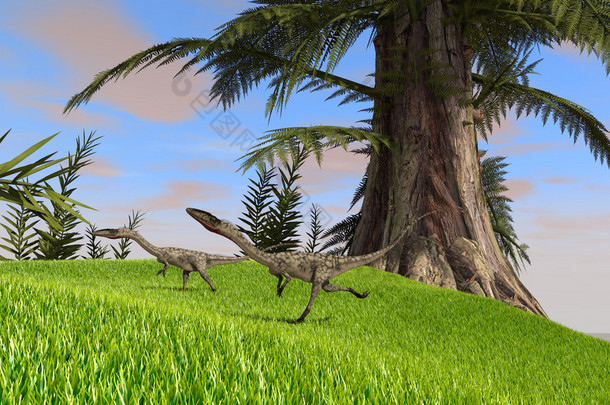 coelophysis 恐龙