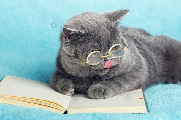 业务猫读书笔记本