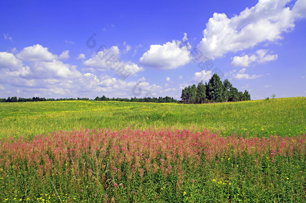 夏天风景