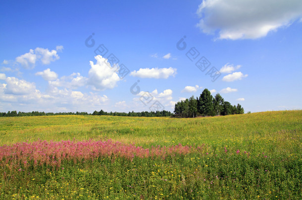 夏天风景