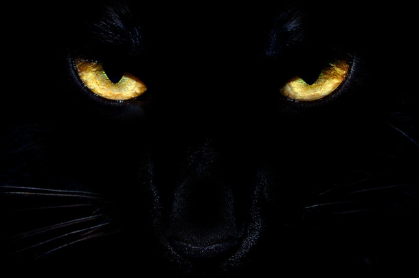 黑猫的眼睛