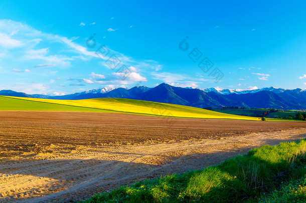 美丽的春天犁字段和绿色和黄色的草地。在背景中的山.