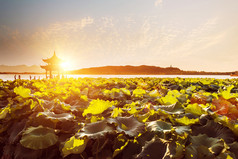 日落时分，杭州的西湖的景色