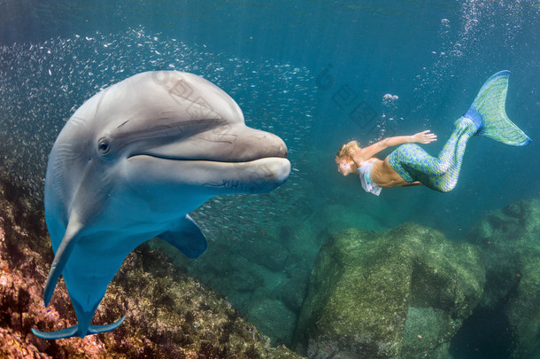 水下海豚会见一个金发碧眼的美人鱼