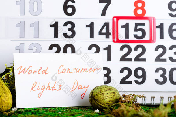 在<strong>日历</strong>上的 3 月 15 日国际消费者权益日