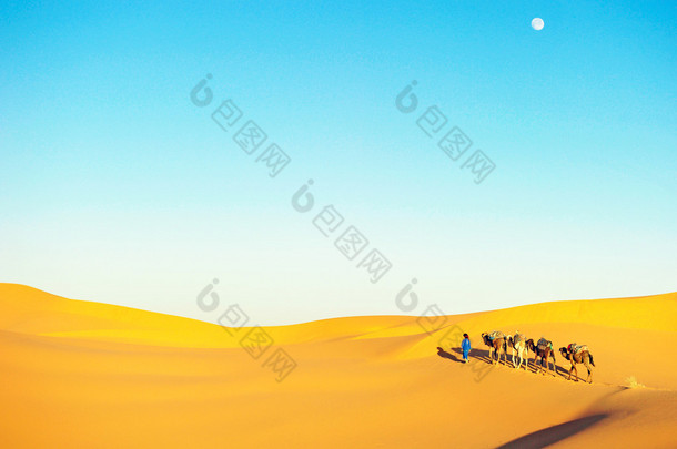 在撒哈拉沙漠上的骆驼商队