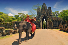 在柬埔寨的最著名的旅游景点，在暹粒扫管笏收获的吴哥寺柬埔寨游客骑象.