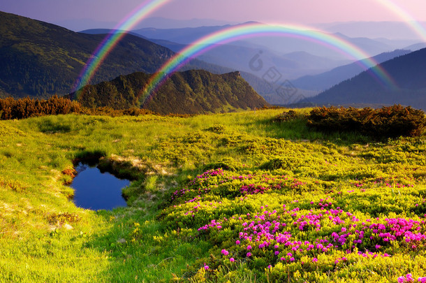 用鲜花和彩虹山风景