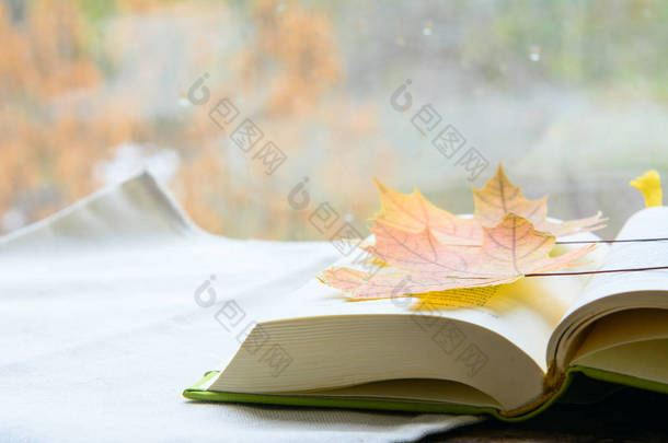 一本打开的书躺在一条白毛巾上. 书上有秋天的枫叶. 概念<strong>教育</strong>、秋季考试