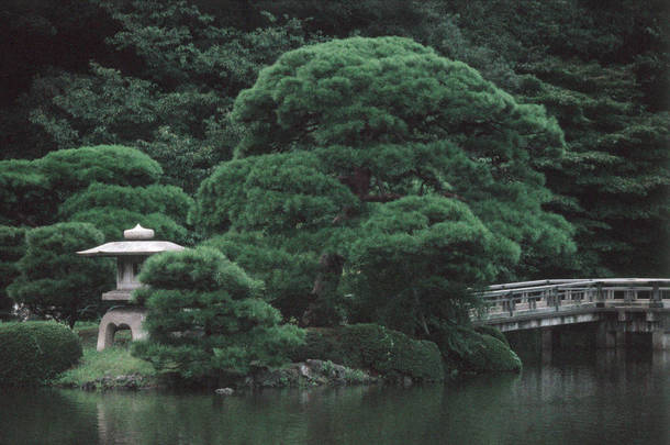 绿色的日本花园