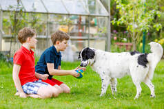 两个小孩在花园里和家里的狗玩耍。笑孩子们，可爱的兄弟姐妹与狗玩耍，跑步和玩球。快乐的家庭户外。动物与孩子之间的友谊