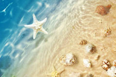 海星和贝壳在夏日沙滩上海水中。夏天的背景。夏季时间.
