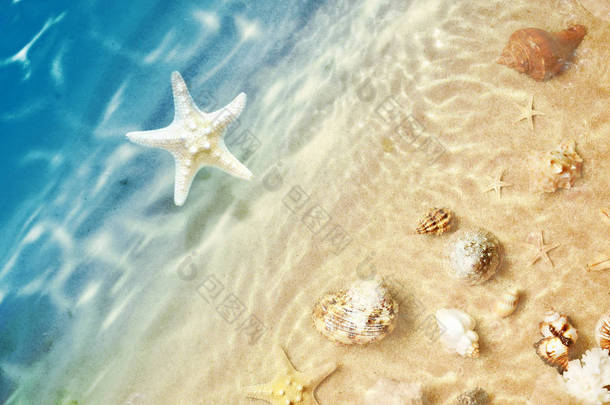 <strong>海</strong>星和贝壳在夏日沙滩上<strong>海</strong>水中。夏天<strong>的背景</strong>。夏季时间.