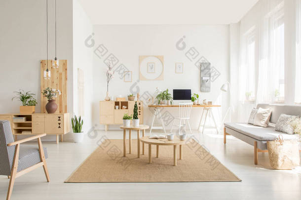 在白色开放空间内部的沙发和扶手椅之间的棕色地毯木桌。真实照片
