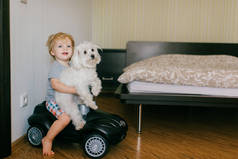 图片上的可爱的小高加索男孩，金发碧眼，穿着灰色T恤和黄色短裤，和他在卧室里的漂亮的白狗在一起很开心.