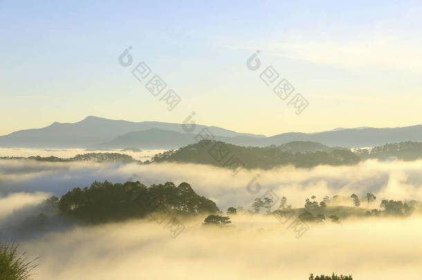 梦幻般的迷雾森林与<strong>松树和山</strong>在阳光下