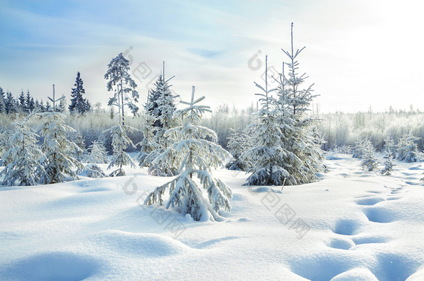 农村冬季景观与森林