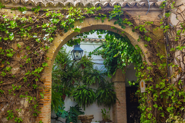 典型的安达卢西亚庭院装饰着鲜花拱门和 c