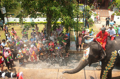 年轻大象玩水.
