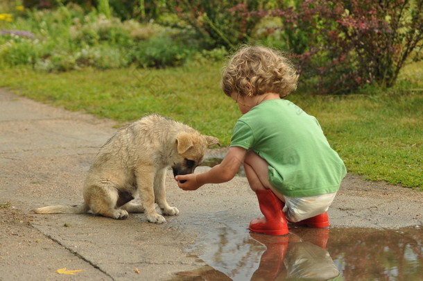 男孩，孩子在红色橡胶威灵顿长靴，跟小狗。童年的纸尿裤.