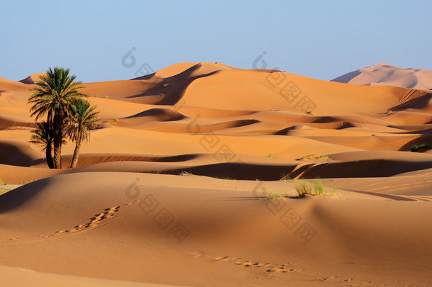 摩洛哥。撒哈拉<strong>沙漠</strong>的沙丘