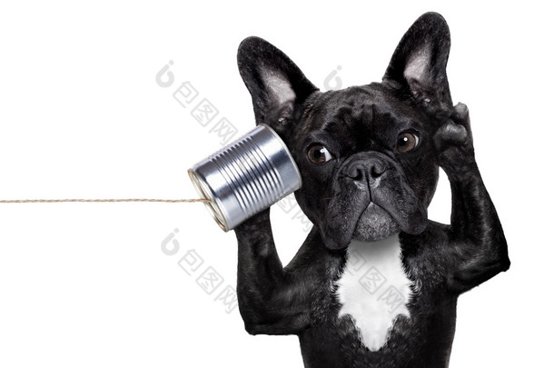狗电话 telpehone