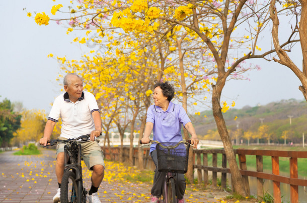 幸福的亚洲高级夫妇骑着自行车在公园里