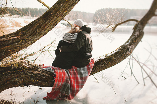 时髦夫妇坐在树上结冰的湖面