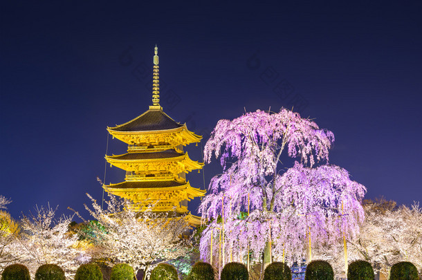 在春天的京都宝塔