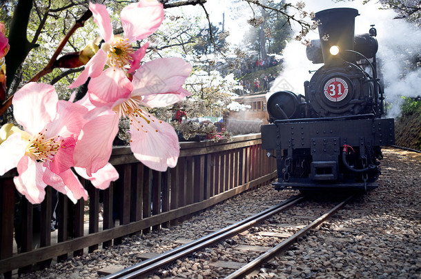 蒸汽小火车和樱桃，台湾