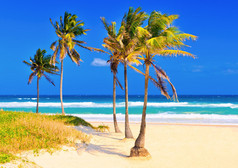 古巴在上一个美丽的夏日的海滩
