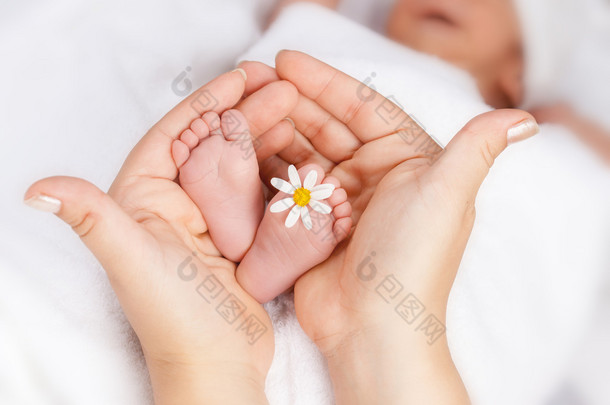 可爱婴儿脚与小白色雏菊