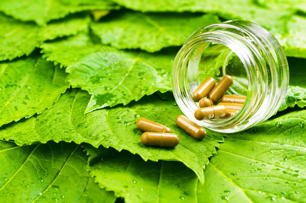 在绿色的树叶在罐子里的药。健康维生素概念