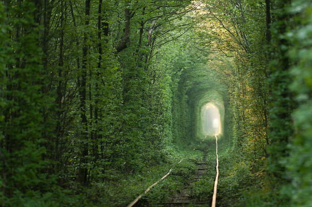 绿色隧道.