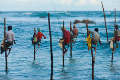 高跷渔民斯里兰卡传统捕鱼