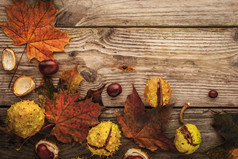 栗子和秋天的枫叶叶上的木制背景与电影滤镜效果