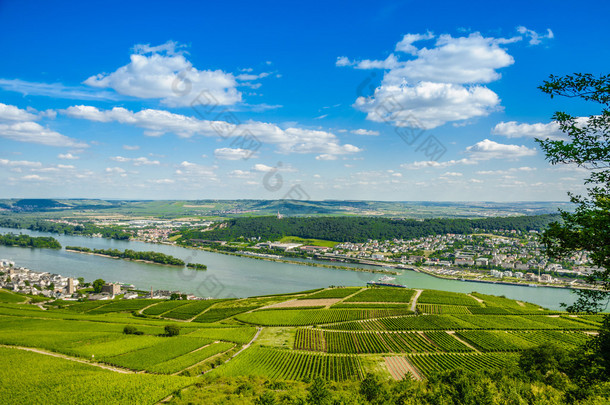 莱茵河和绿色葡萄园附近 Bingen 莱茵河畔