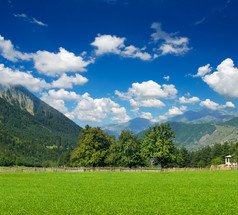 美丽的风景、 新鲜冷杉树木森林、 绿草字段、 风光谷山、 清澈的蓝天、 暑期旅游概念