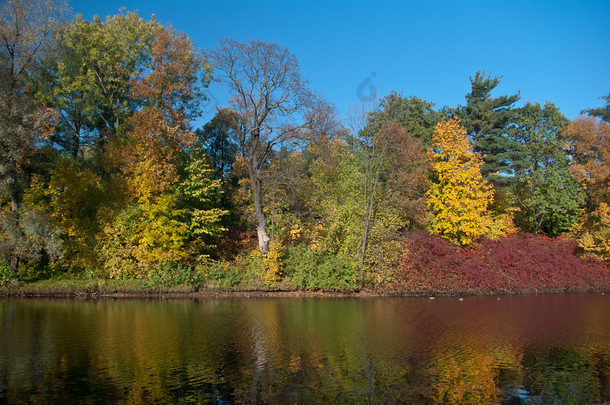 höst park